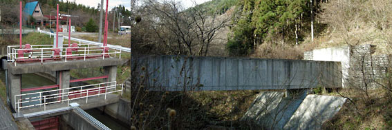 shinasaka1 shinasaka1