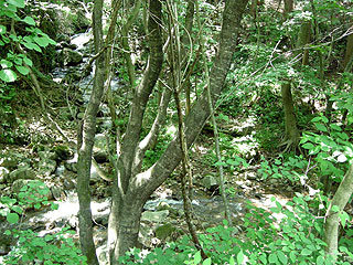 ishizaka1