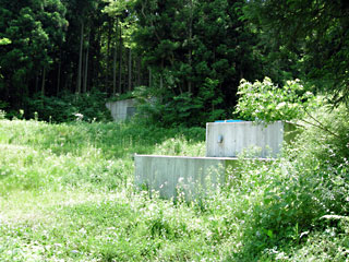 ishizaka12.jpg
