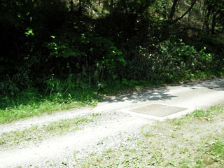 ishizaka3.jpg