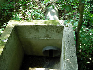 ishizaka5.jpg