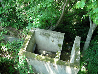 ishizaka6.jpg