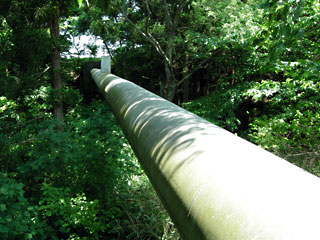 ishizaka7