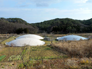 joukouzu5.jpg