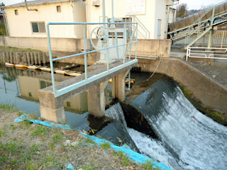jouyachinai14.jpg