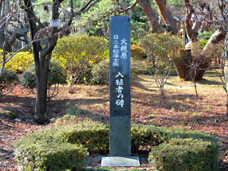 nihonmatsu1 nihonmatsu1