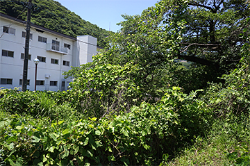 磐梯熱海に見る今の安積疏水1（郡山市） – 〜ましくふ〜明治時代